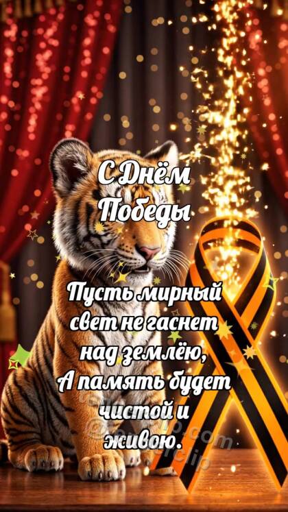 С Днём Победы: Тигрёнок у ленты памяти