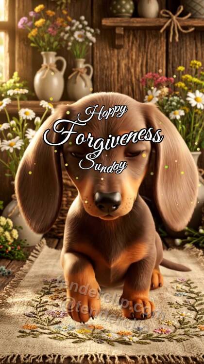 Happy Forgiveness Sunday: Puppy Offers Paw