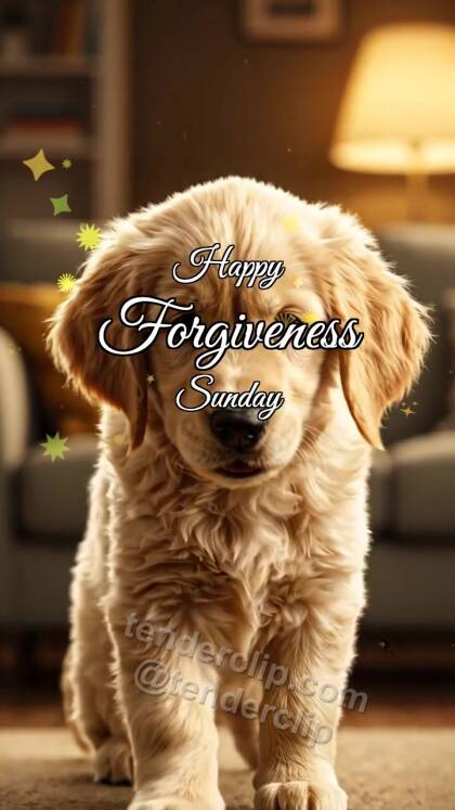 Happy Forgiveness Sunday: Puppy Offers Paw