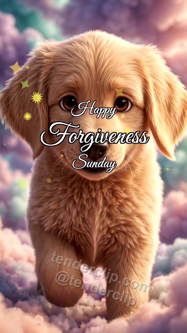 Happy Forgiveness Sunday: Puppy Offers Paw