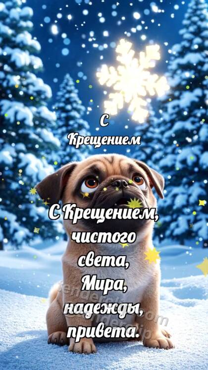 С Крещением: Щенок встречает снежинку