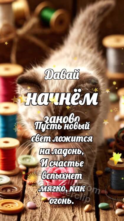 Давай начнём заново: Котёнок приносит цветок