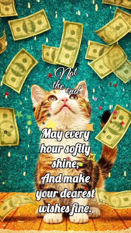 Not the end: Kitten Under Money Rain