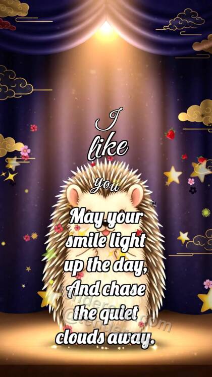 I like you: Hedgehog In Spotlight