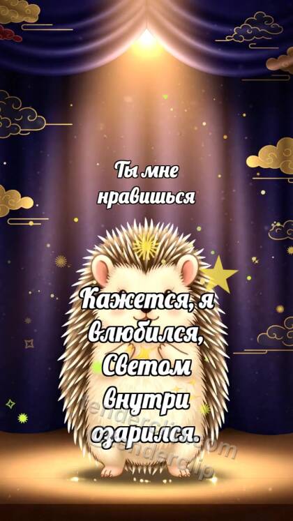 Ты мне нравишься: Ёжик в луче победы