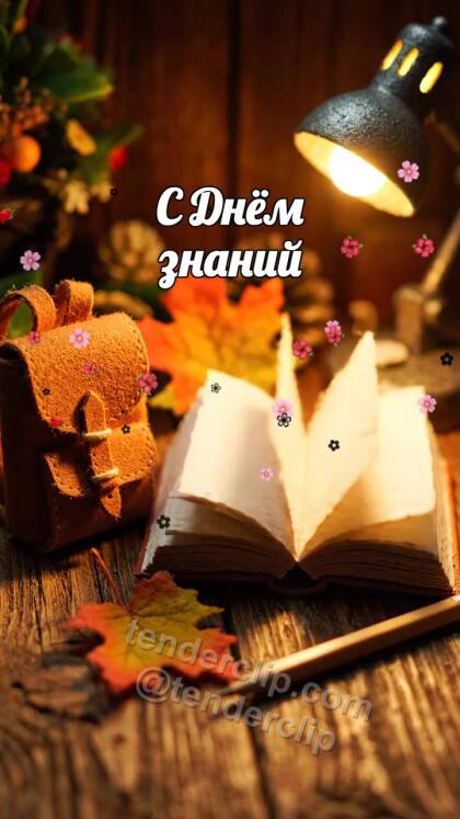 С Днём знаний: открытая книга оживает первым