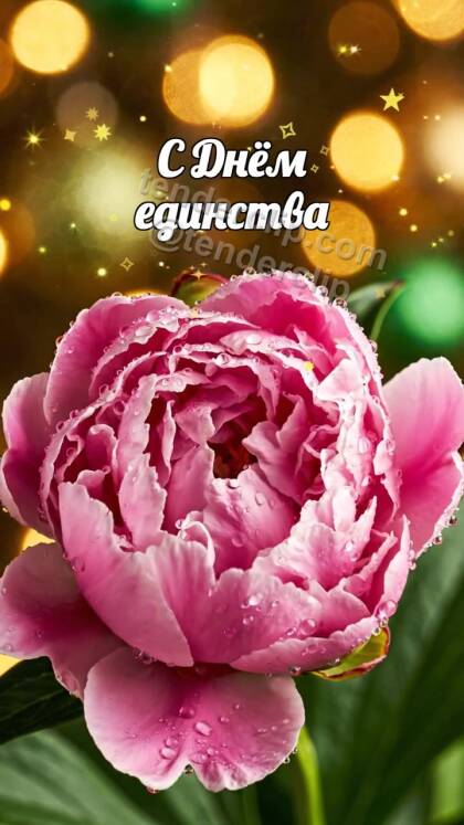 С Днём единства: бутон раскрывается