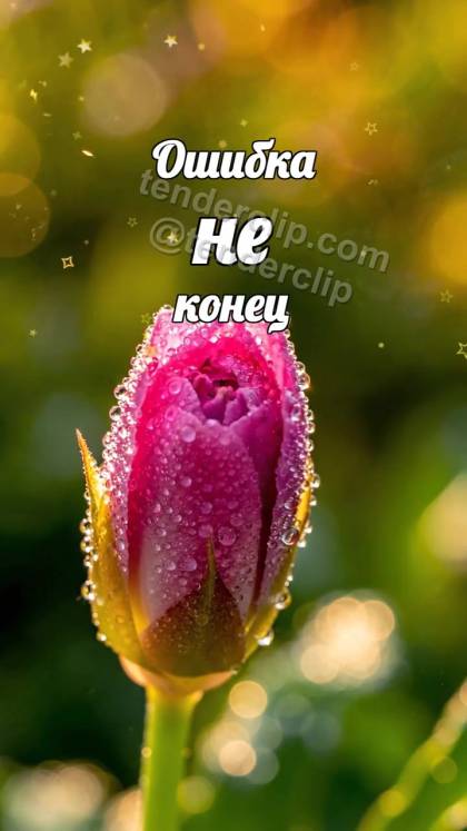 Ошибка не конец: бутон раскрывается
