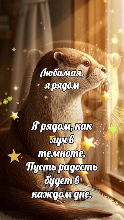 Любимая, я рядом: Выдра рядом у окна
