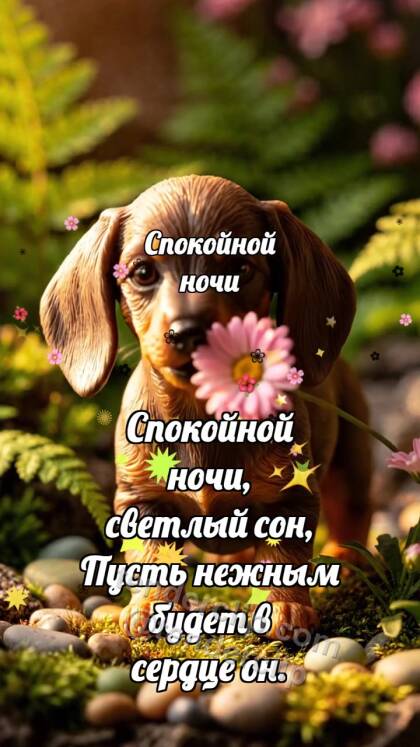 Спокойной ночи: Щенок несёт цветок