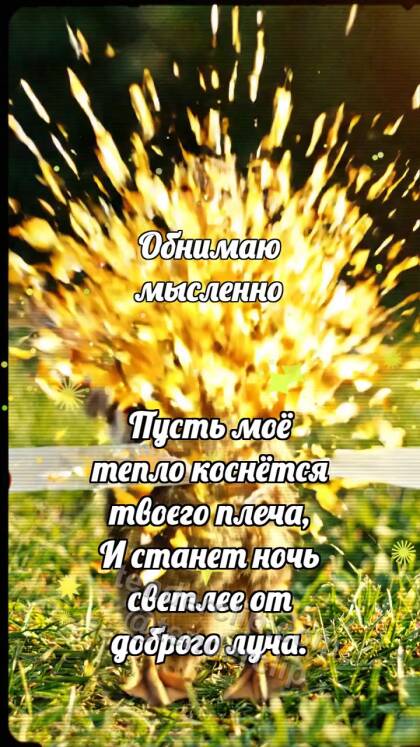 Обнимаю мысленно: Утёнок пересекает финиш
