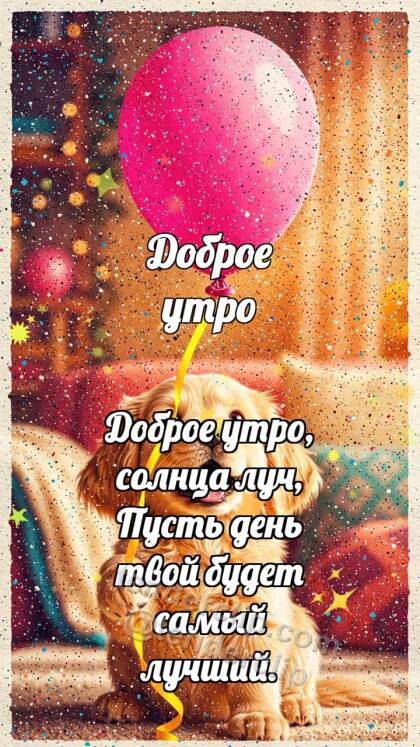 Доброе утро: Щенок с шариком удачи