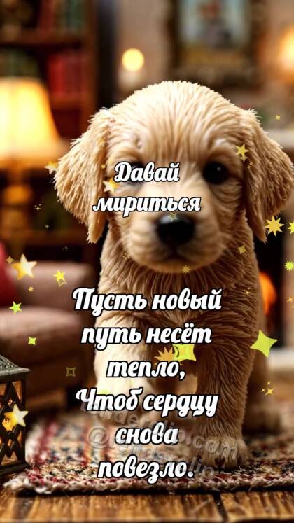 Давай мириться: Щенок подаёт лапу