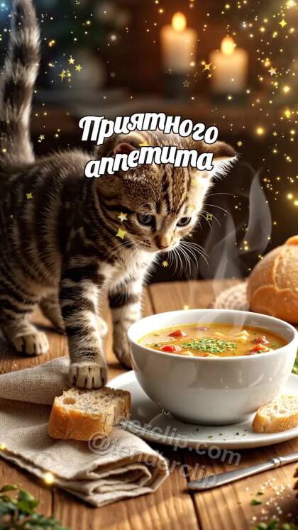 Приятного аппетита: котёнок ставит хлеб к тарелке