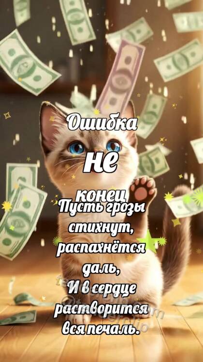Ошибка не конец: Котёнок под дождём денег