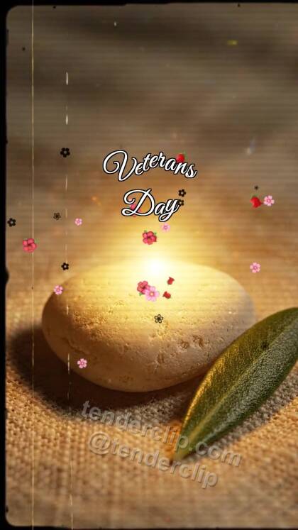 Veterans Day: Peaceful Pebble Keeps Light