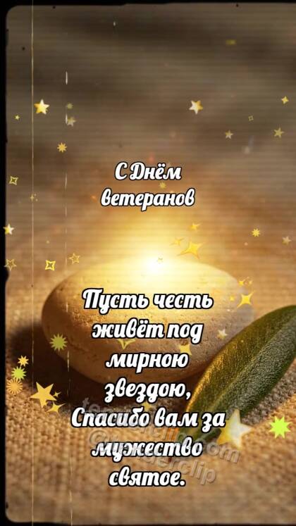 С Днём ветеранов: Мирная галька хранит свет
