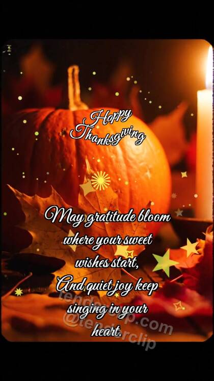 Happy Thanksgiving: Pumpkin Shares Warmth
