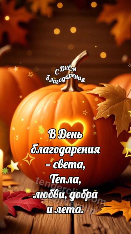 С Днём благодарения: Тыква делится теплом