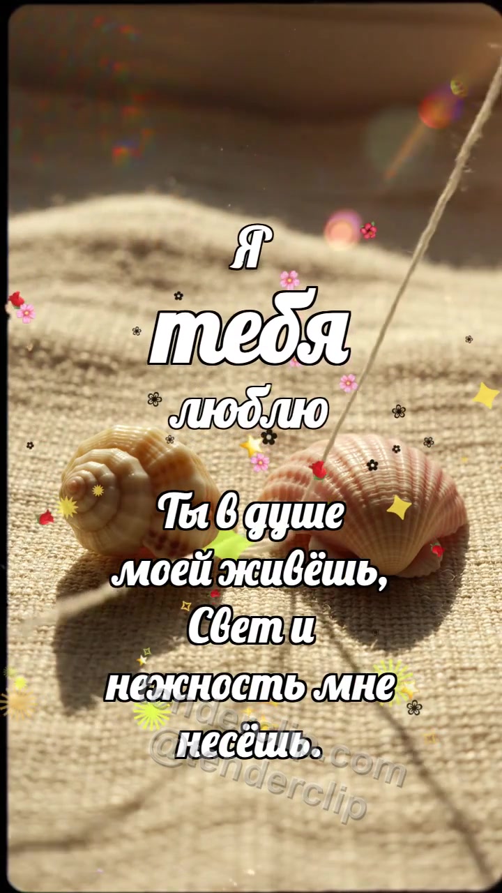 Я тебя люблю: Нить соединяет ракушки
