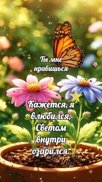 Ты мне нравишься: Бабочка садится рядом