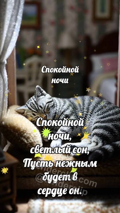 Спокойной ночи: Луна укрывает кота