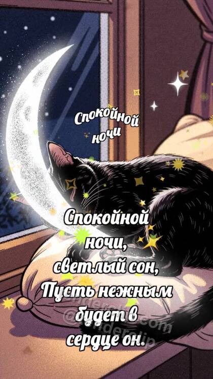 Спокойной ночи: Луна укрывает кота
