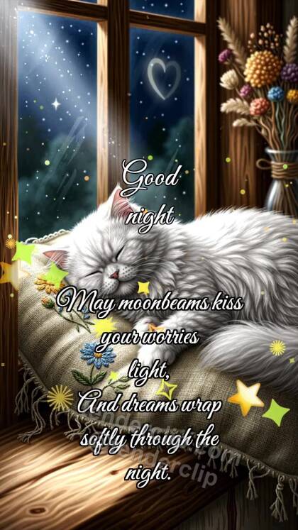 Good night: Moon Tucks Cat