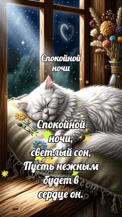 Спокойной ночи: Луна укрывает кота