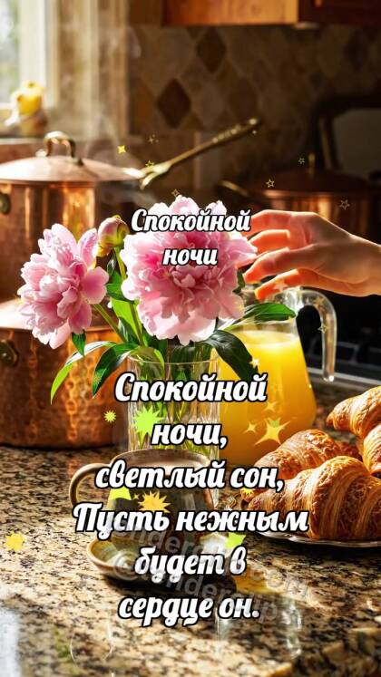 Спокойной ночи: Луна укрывает кота