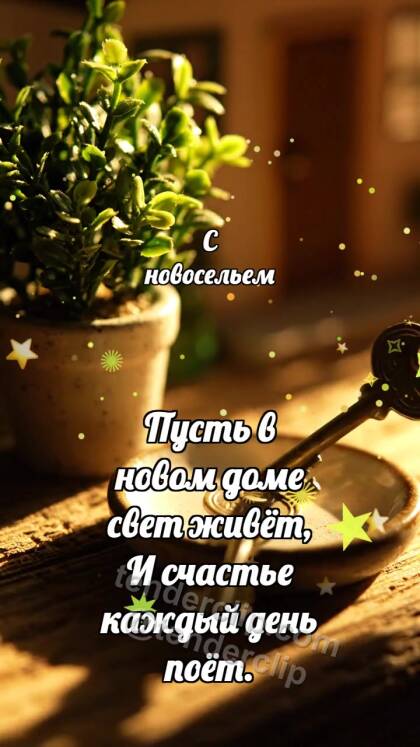 С выпускным: Шапочка ловит конфетти