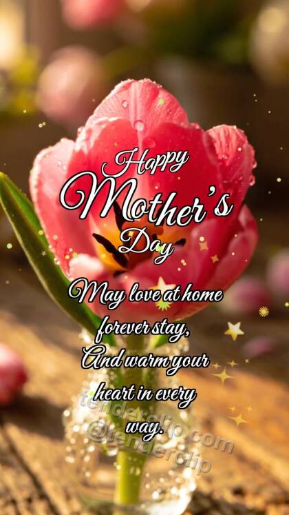 Happy Mother’s Day: Tulip Hides Heart