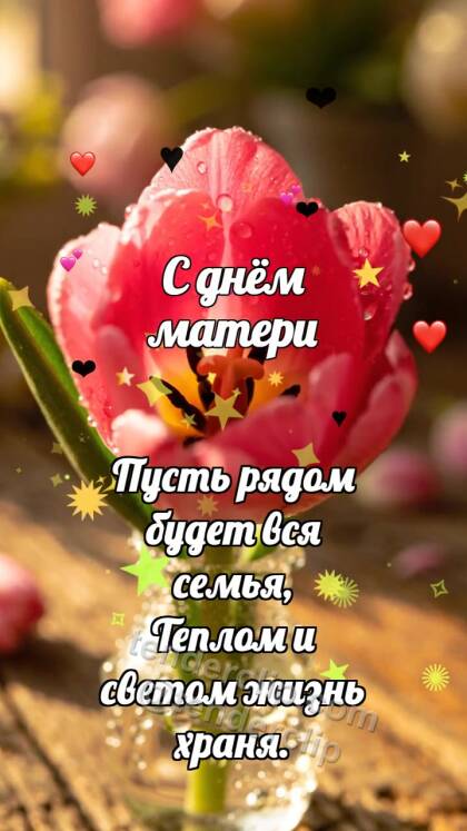 С днём матери: Тюльпан прячет сердечко