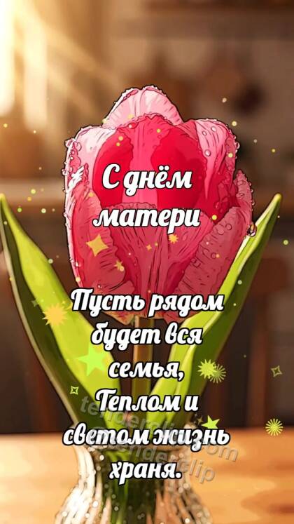 С днём матери: Тюльпан прячет сердечко