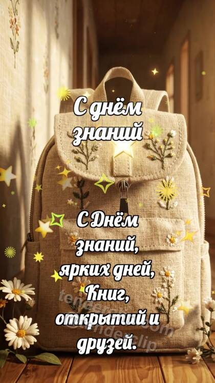 С днём знаний: Рюкзак ловит звёздочку