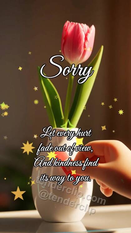 Sorry: Bandage for Vase