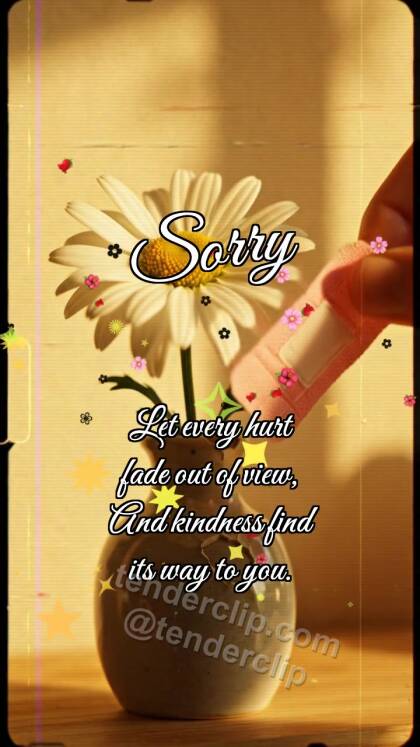 Sorry: Bandage for Vase