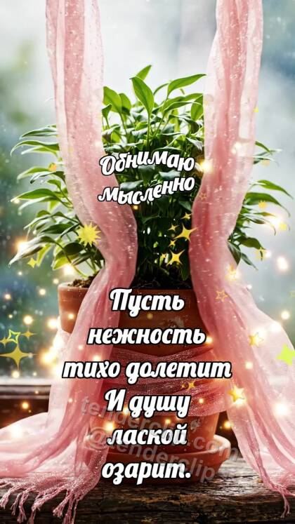 Обнимаю мысленно: Шарф обнимает горшок