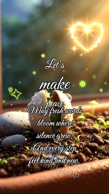 Let’s make peace: Seed Opens Path