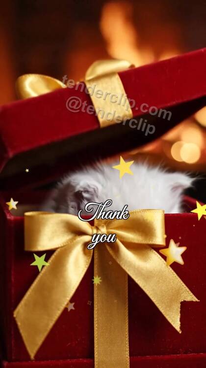 Thank you: gift box shyly opens