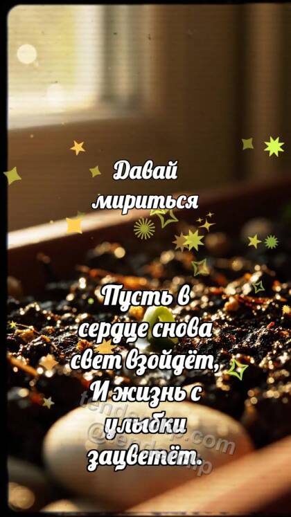 Давай мириться: Семечко открывает тропинку
