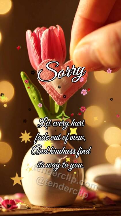 Sorry: Bandage for Vase