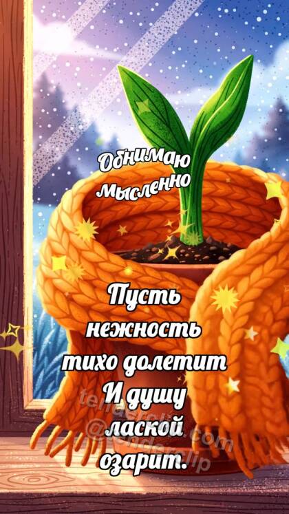 Обнимаю мысленно: Шарф обнимает горшок