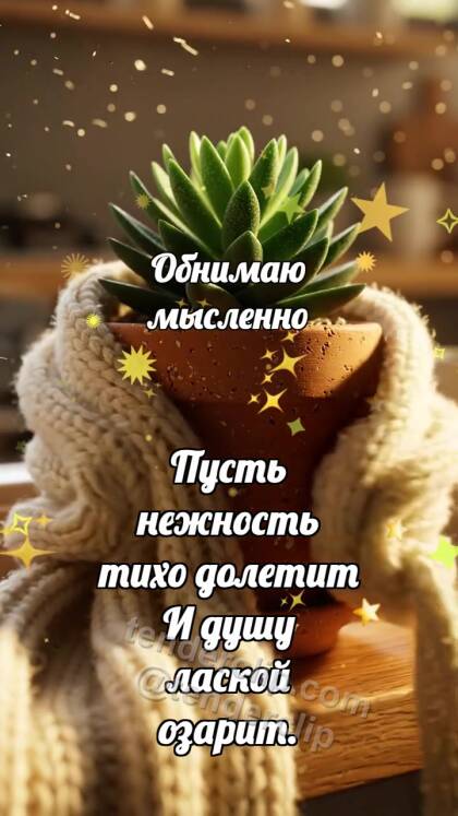 Обнимаю мысленно: Шарф обнимает горшок