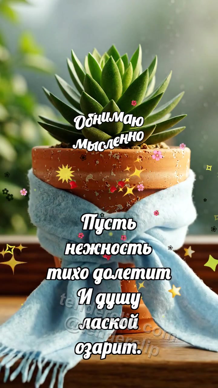 Обнимаю мысленно: Шарф обнимает горшок