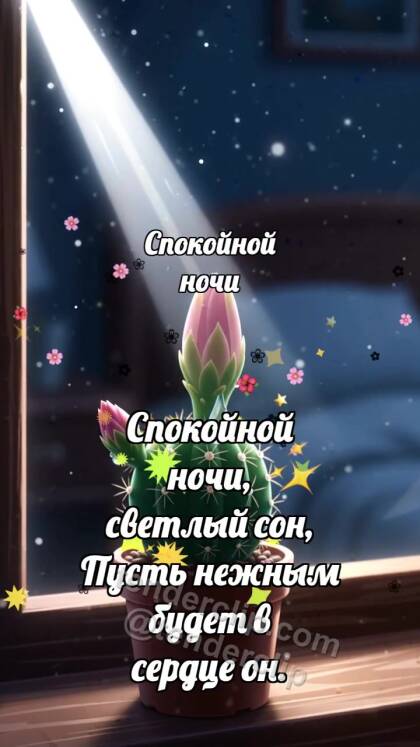 Спокойной ночи: Кактус ловит луну