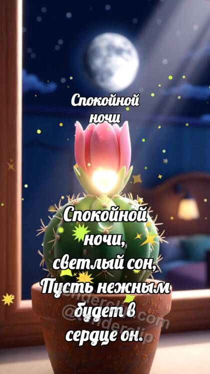 Спокойной ночи: Кактус ловит луну