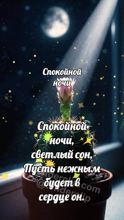 Спокойной ночи: Кактус ловит луну