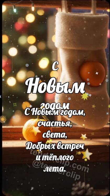 С Новым годом: Сапожок ловит мандарин