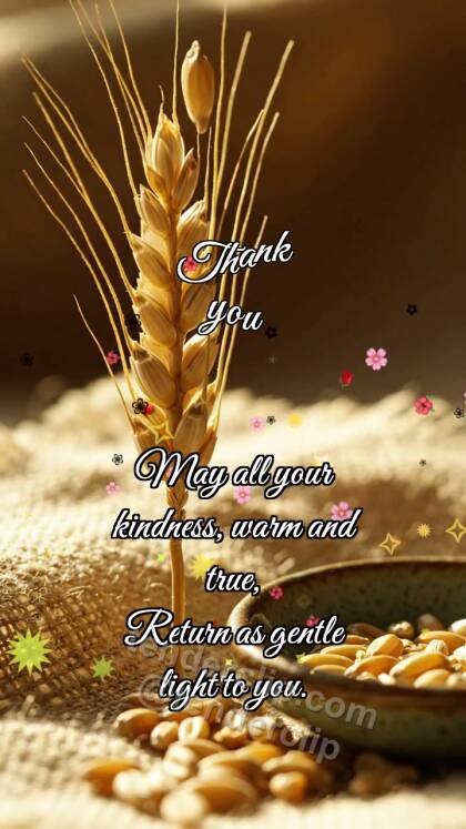 Thank you: Wheat Gives Grain